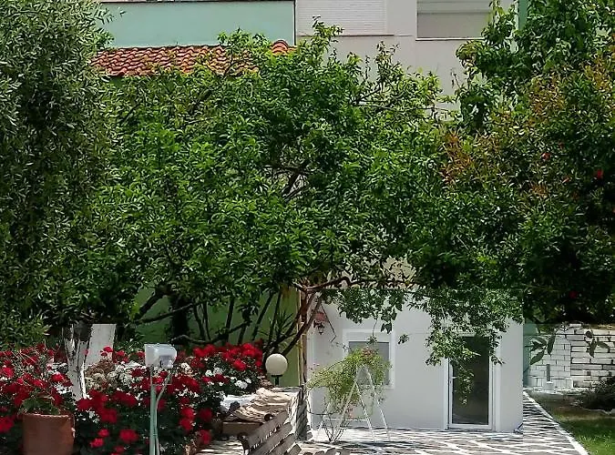 Emilia Pachis (Thasos)