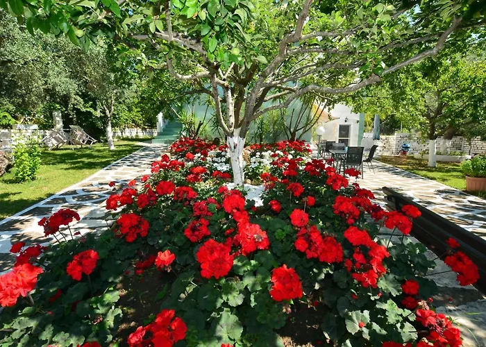 Emilia 3* Παχύς